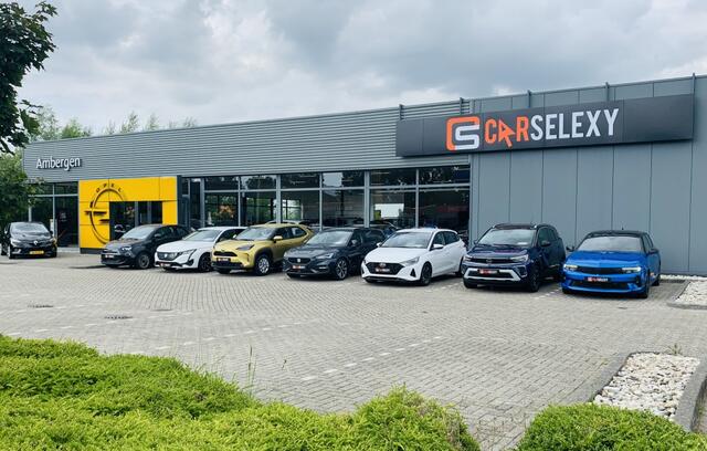 Renault Arkana 1.6 ETech Hybrid (145Pk) Intens Navi Camera Clima Géén Afleverkosten