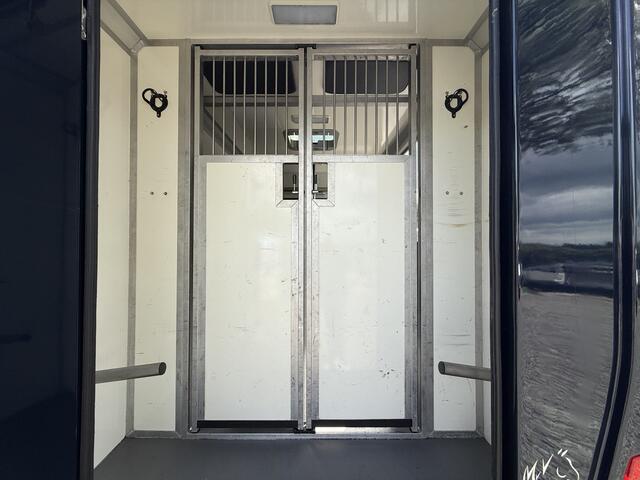 Renault MASTER | HORSETRUCK | STX | STALLION 5XL | 2018 | HENGST | DUB CAB | 5-SEAT | 165.631KM | L3 | 170PK | SUPERDELUXE | DEENS KENTEKEN