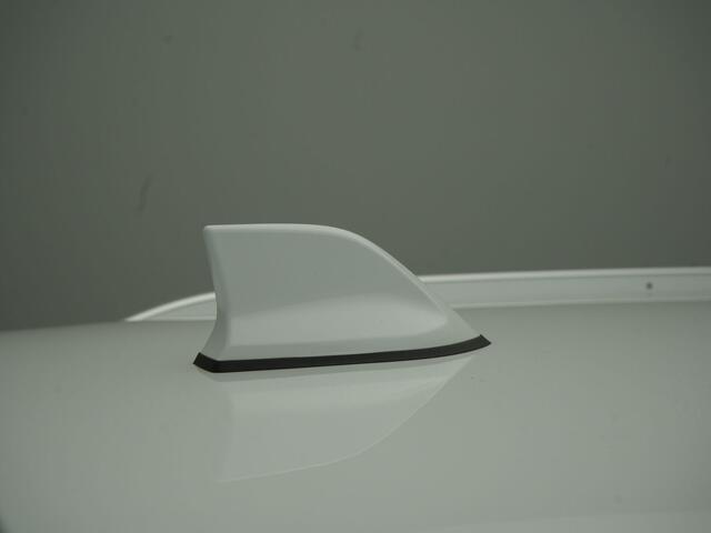 Renault MEGANE Estate TCe 140 Intens - RIJKLAARPRIJS - All Seasonbanden - Achteruitrijcamera - Head-Up Display - Trekhaak - Dealeronderhouden