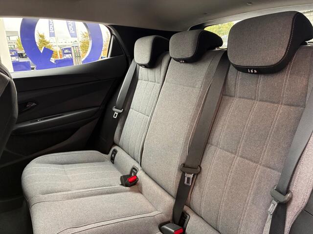 Renault MEGANE EV60 Evolution 220 pk Pack Winter Camera