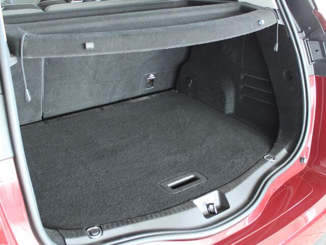 Renault SCENIC 1.3 TCe 140 EDC Bose AUTOMAAT | TREKHAAK | NAVI