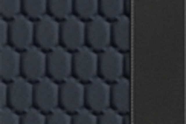 Seat IBIZA 1.0 EcoTSI 95 5MT Style Business Connect