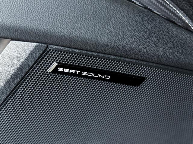 Seat LEON 2.0 TSI CUPRA 300 |Milltek|Panorama|Sound|Kuipstoelen