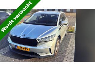 skoda-enyaq-iv-80-netto-price-expor