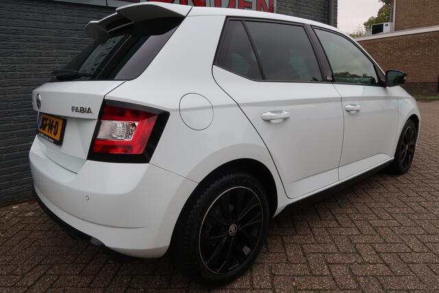 Skoda FABIA 1.2 TSI Monte Carlo Speciale uitvoering