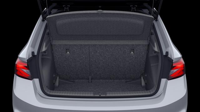 Skoda FABIA 1.0 TSI Greentech 95 5MT Monte Carlo Verwarmbare stoelen voor