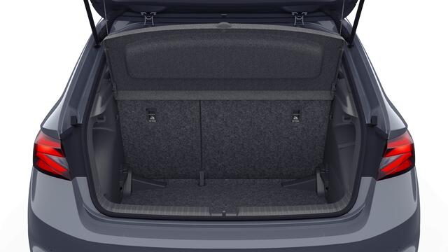 Skoda FABIA 1.0 TSI Greentech 95 5MT Monte Carlo Verwarmbare stoelen voor