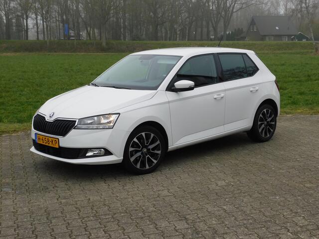 Skoda FABIA 1.0 TSI Business Edition, Carplay, Pdc, Trekhaak