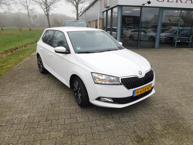 Skoda FABIA 1.0 TSI Business Edition, Carplay, Pdc, Trekhaak