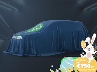 skoda-fabia-1.0-tsi-business-editio