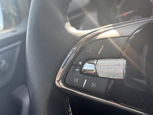 Skoda FABIA 1.0 TSI Business Edition | 42.000 km | Navigatie | L.M. velgen.