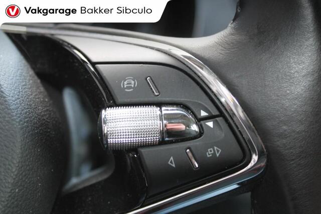 Skoda FABIA 1.0 TSI BUSINESS EDITION AIRCO ANDROIDAUTO/APPLECARPLAY CRUISECONTROLE