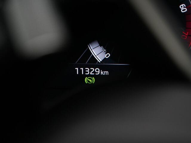 Skoda Kamiq 1.0 TSI 110 pk DSG Monte Carlo | Panoramadak | Achteruitrijcamera | Parkeersensoren voor/achter | Sportstoelen | 18 inch