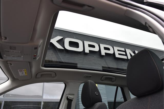 Skoda Kamiq 1.0 TSI Business Edition Automaat