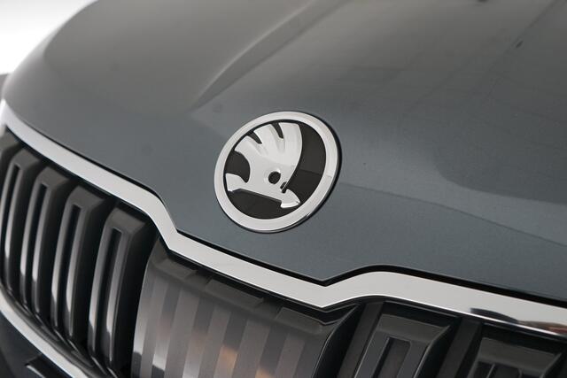 Skoda Karoq 1.0 TSI Clever Edition | Stoelverwarming