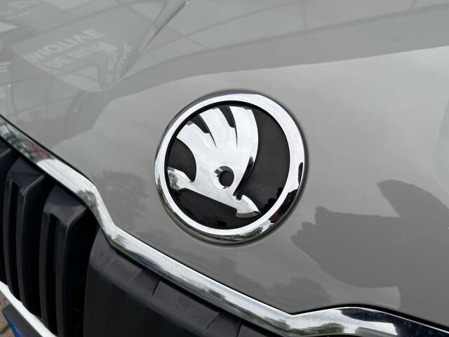 Skoda Karoq 1.0 TSI Style Business *Canton & Trekhaak*