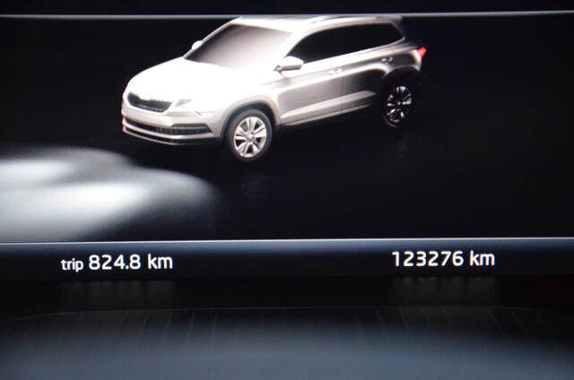 Skoda Karoq 1.5 TSI ACT Sportline Business Automaat/Navi/Audio installatie premium/Led/Pdc/Ecc/Stoelverwarming/Virtual Cockpit/Achteruitrijcamera/Cr-Control adaptief//Privacy-Glass