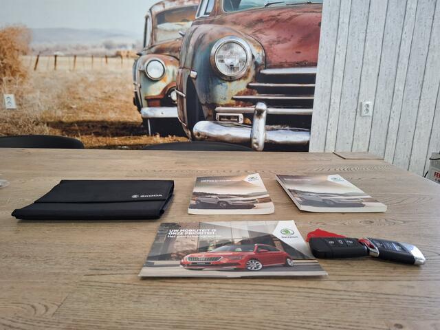 Skoda Kodiaq 1.5 TSI 150 PK 1e EIGENAAR 19 INCH NAVI CRUISE TREKHAAK