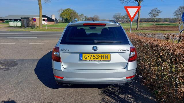 Skoda OCTAVIA Combi 1.0 TSI Greentech Sport Business CLIMA/NAVI BJ 2019