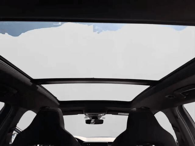 Skoda OCTAVIA 1.4 TSI RS IV 245PK PHEV - Open dak - Elektr. Achterklep. Stoelv