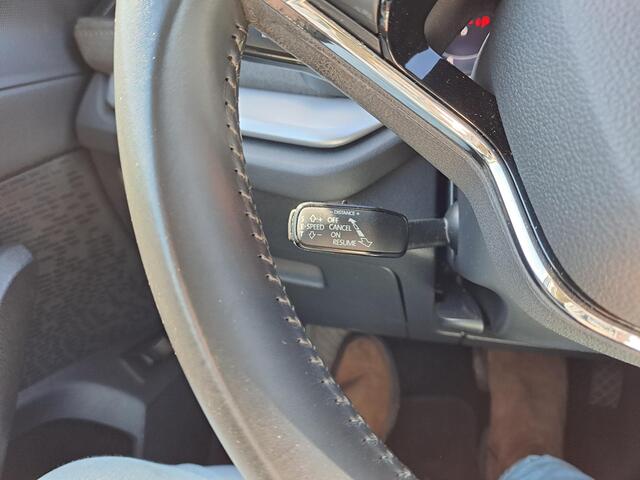 Skoda OCTAVIA Combi 1.4 TSI iV PHEV Business Edition Panoramadak, Trekhaak,