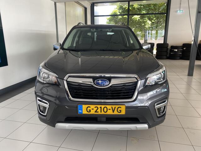 Subaru FORESTER 2.0i e-BOXER Luxury Trekhaak / Winterwielen / vol opties