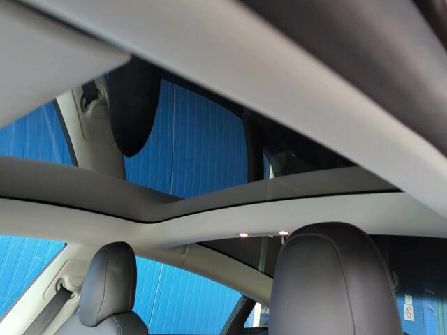 Tesla Model 3 RWD Plus 60 kWh Autopilot FDS Comp nieuwstaat Leder Camera Panodak