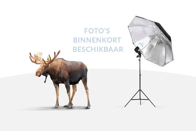 Tesla Model 3 Standard RWD Plus 60 kWh | FSD | 94% SoH