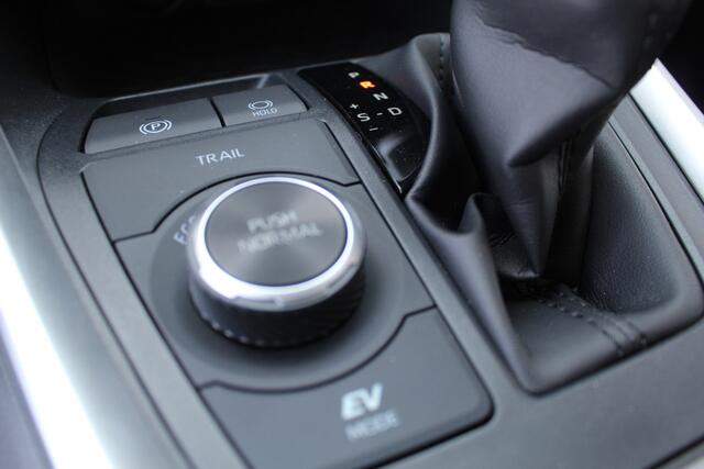 Toyota RAV4 2.5 Hybrid AWD Active I APPLE CAR I CRUISE I PDC I I CAMERA I TREKG. 1650 I
