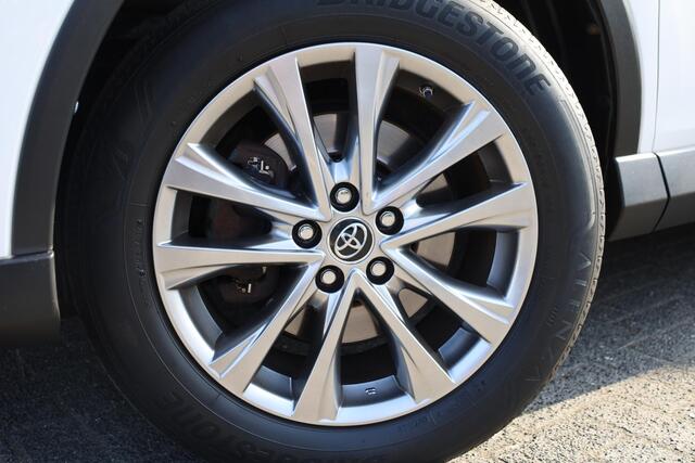 Toyota RAV4 2.5 Hybrid Executive LEER+MEMORY STOELVERW. 18"LMV DAB CAMERA NAVI ELEK.LAADKLEP 2xPDC DEALER-ONDERHOUDEN