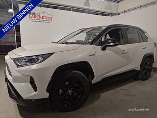 toyota-rav4-2.5-hybrid-218pk-bi-ton