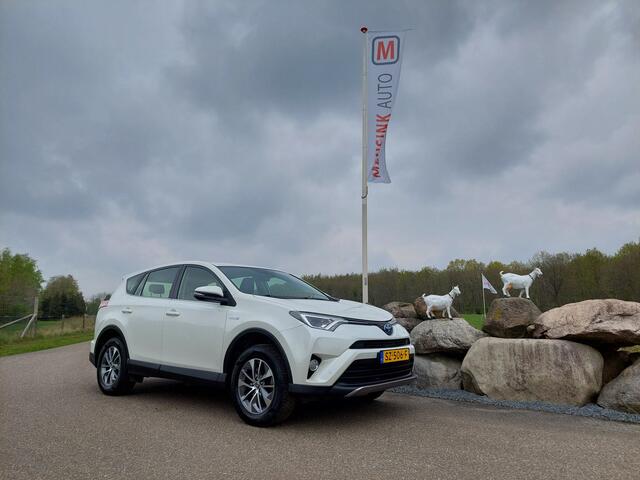 Toyota RAV4 2.5 Hybrid AWD CAMERA LED CRUISE ECC TREKHAAK