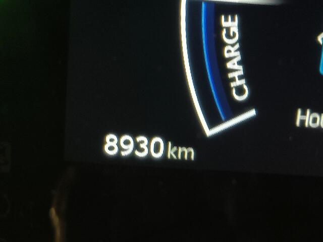 Toyota YARIS Cross 1.5 Hybrid 115 First Edition Rijklaar + Fabrieksgarantie