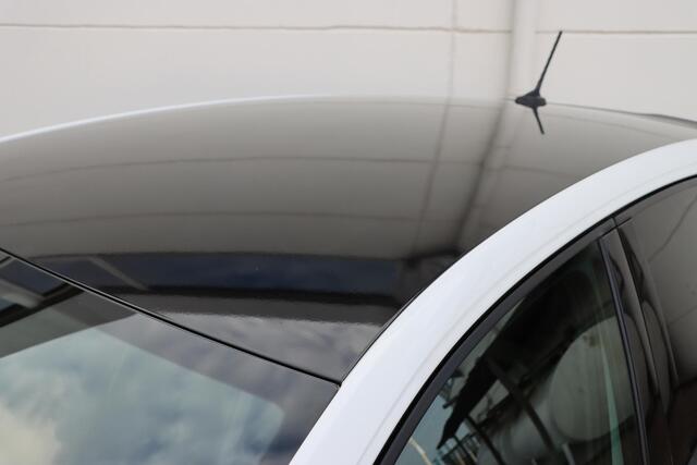 Volkswagen POLO 2.0 TSI GTI