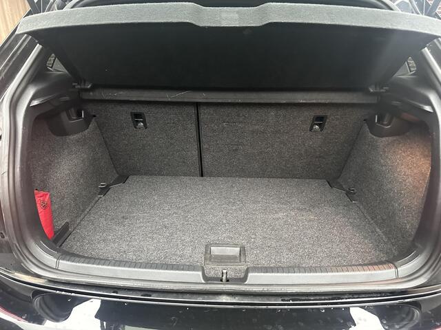 Volkswagen POLO 2.0 TSI GTI