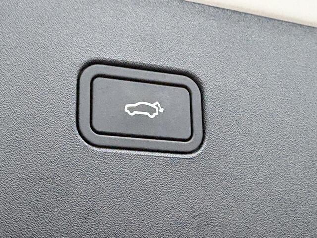 Volvo EX30 Twin Motor Performance Ultra 69 kWh | Panorama dak | Stoelen elektrisch verstelbaar | 360º Camera | Harman/Kardon | Blis | Adaptieve Cruise controle | verwarmde voorstoelen en stuurwiel |