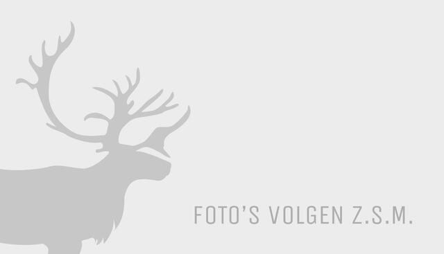 Volvo XC40 T4 Momentum | Rijklaarprijs | Trekhaak | Adaptive Cruise | BLIS |