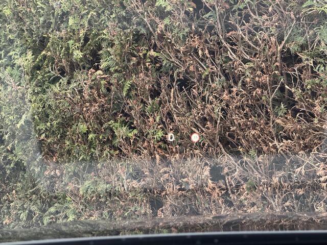 Volvo XC60 T8 Plug-in hybrid AWD Plus Black Edition | Trekhaak | 360 Camera | H&K Audio | Elektr. stoel