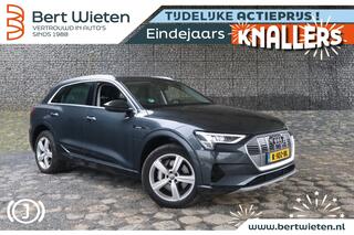 audi-e-tron-55-quattro--geen-impor