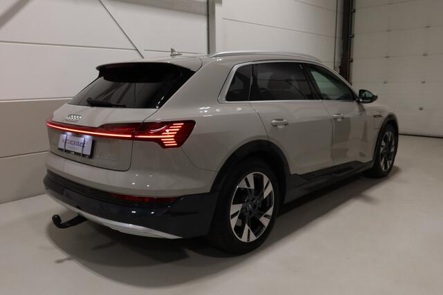 Audi e-tron e-tron 55 quattro advanced Pro Line Plus 95 kWh I Siambeige I