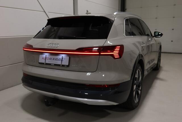 Audi e-tron e-tron 55 quattro advanced Pro Line Plus 95 kWh I Siambeige I
