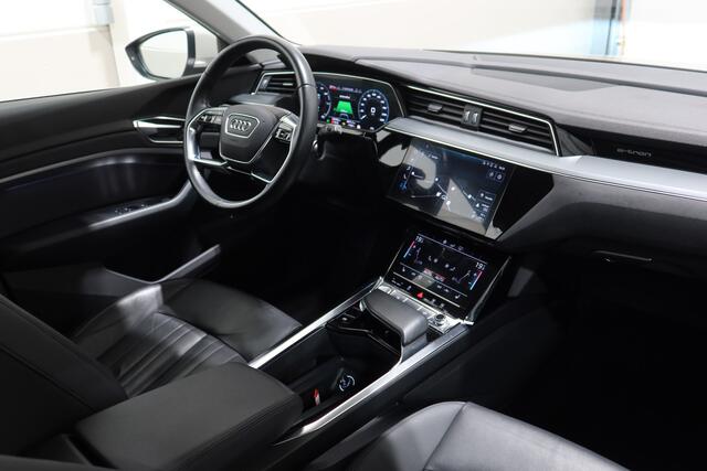 Audi e-tron e-tron 55 quattro advanced Pro Line Plus 95 kWh I Siambeige I