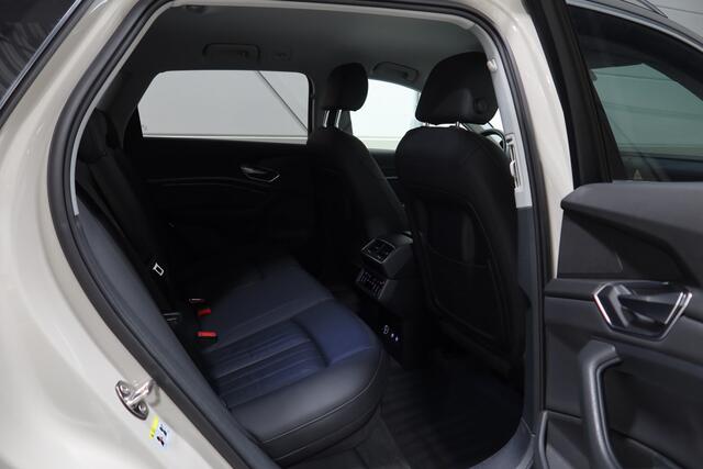 Audi e-tron e-tron 55 quattro advanced Pro Line Plus 95 kWh I Siambeige I