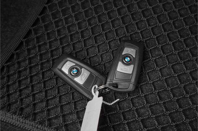 BMW 2-SERIE Coupé 218i Executive Edition Camera Parkeerhulp 18"