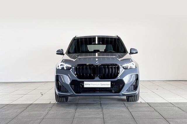 BMW X1 xDrive25e | Huisselectie