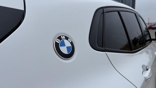 BMW X2 sDrive20i High Executive M-Sport Pano Alcantara Navi groot