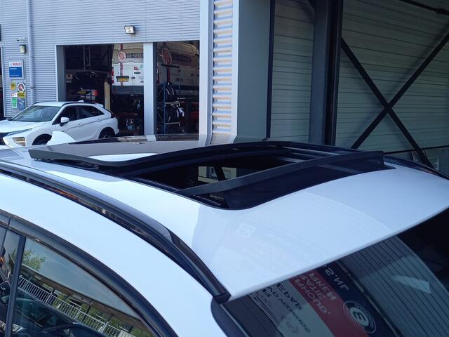 BMW X2 sDrive20i High Executive M-SPORT - PANO - HUD - TREKHAAK - LEER - CAMERA - PDC V/A - STOELVERW -