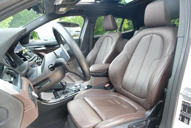 BMW X2 sDrive20i High Executive 190 PK | Panorama dak | Stoelverwarming | Vol lederen bekleding | CarPlay| Elektrische klep | LED verlichting | Lichtmetalen velgen | Achteruitrijcamera |