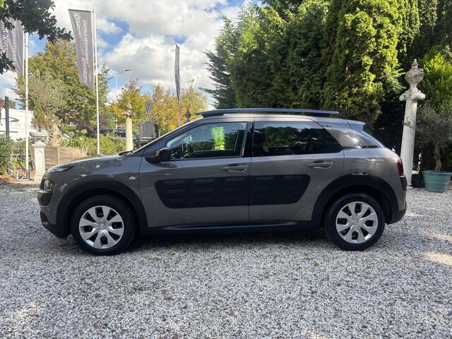 Citroen C4 CACTUS 1.2 PureTech Business / 2e Eigenaar / Navi. / Airco
