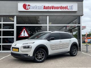 citroen-c4-cactus-1.2-puretech-shin
